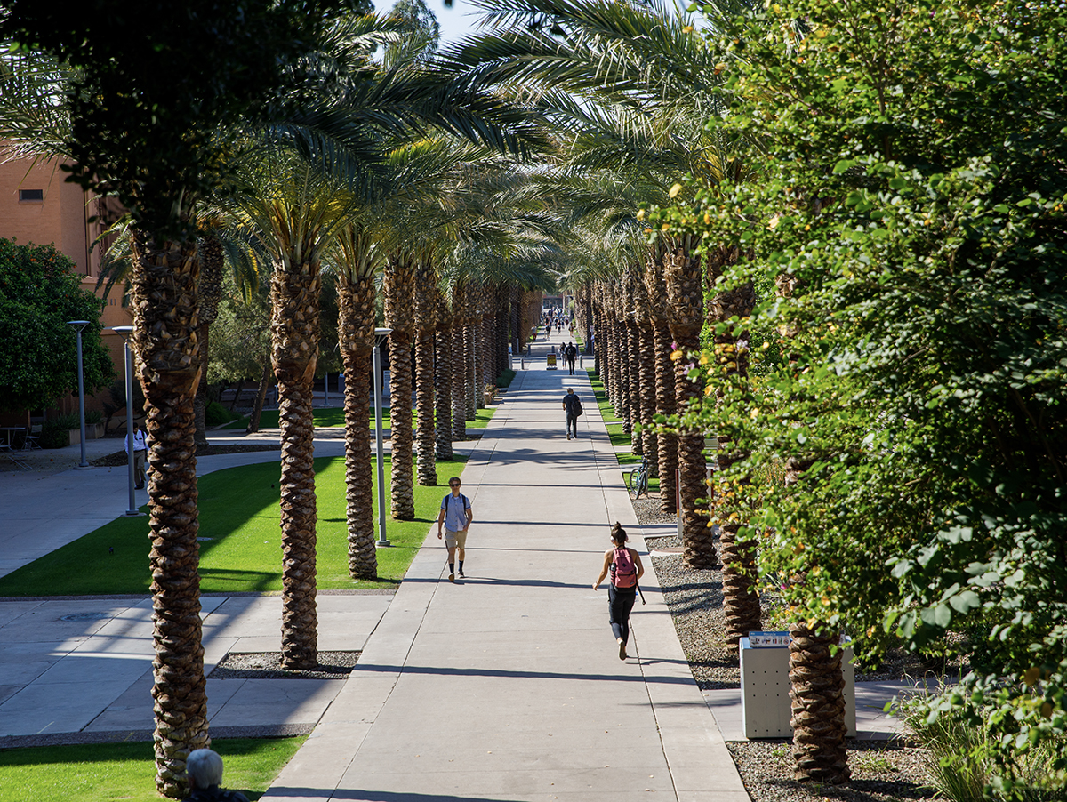 Palm Walk